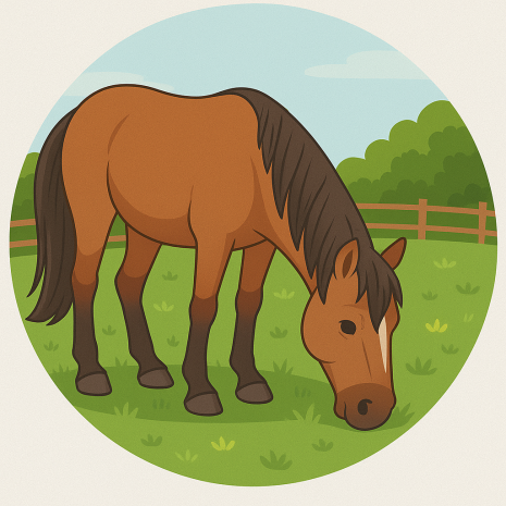 Häst Tårtbild | Ätbara tårtbilder på Hästar | HobbyPyssel