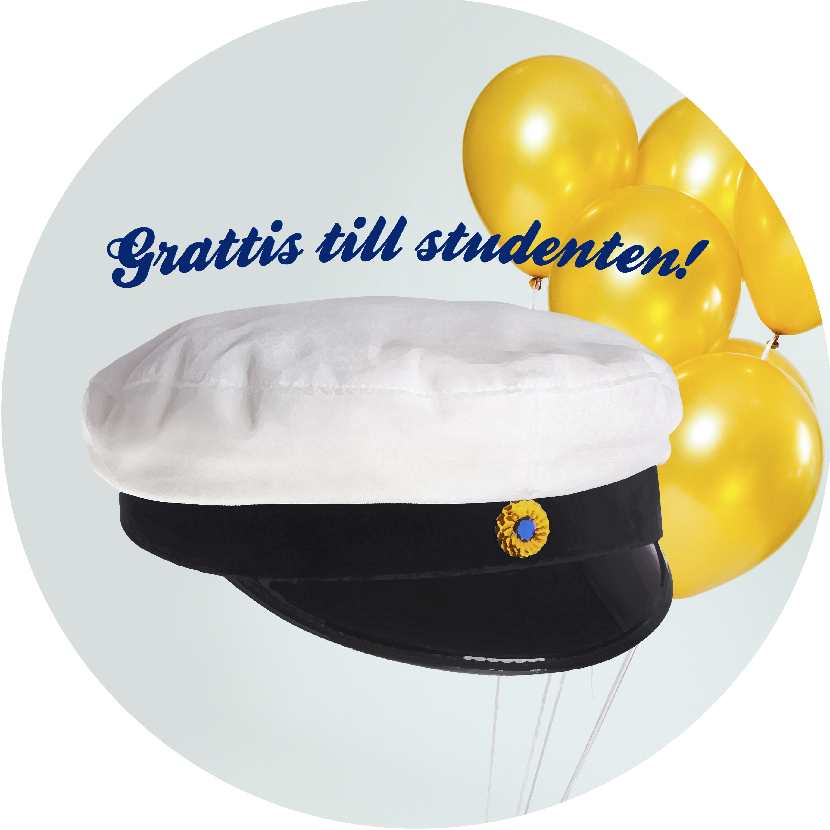 tårtdekoration till student tårtdekoration till student